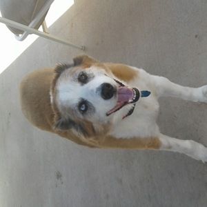 Meet your Posher, Sabrina